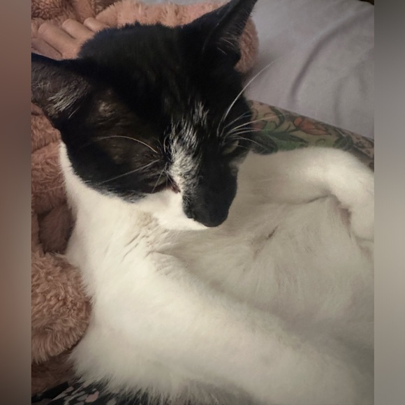 Meet your Posher, Kimberly - Picture 7 of 13